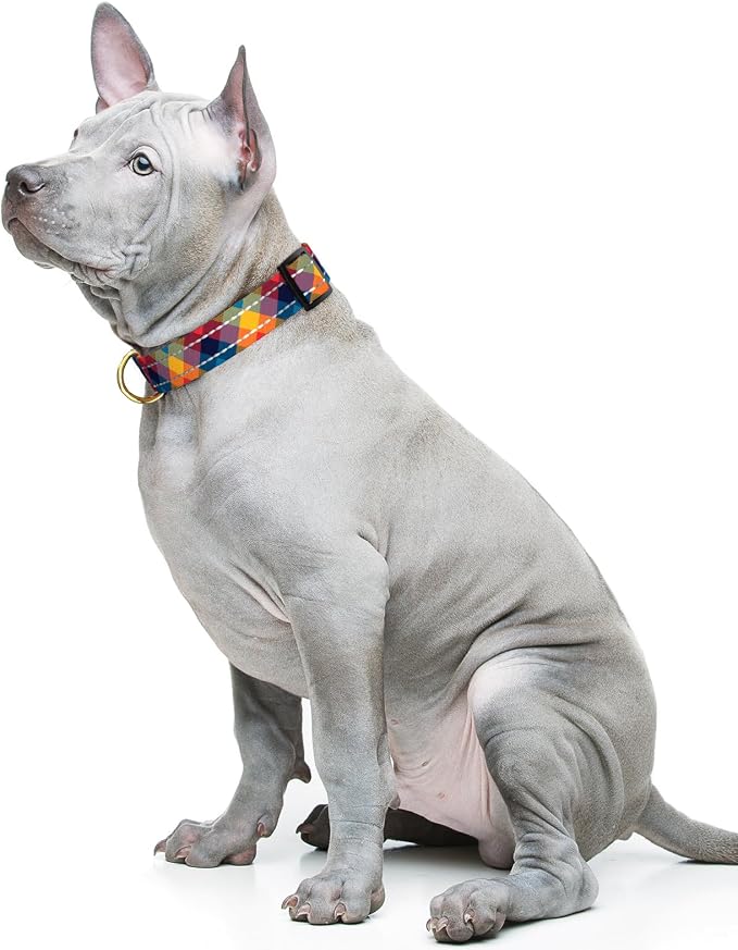 Reflective Dog Collar for Medium Dogs, Cute Boho Adjustable Heavy-Duty Nylon - Image 2