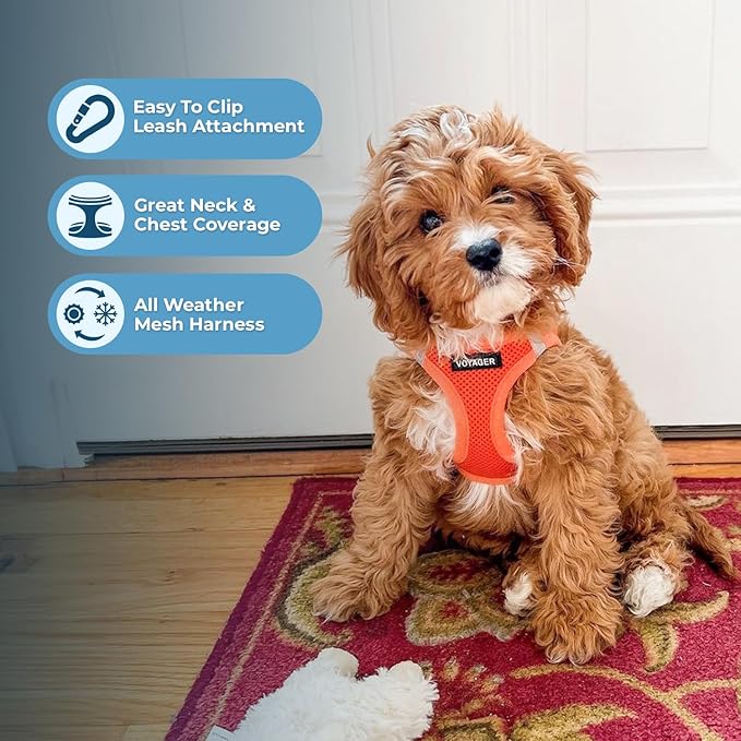 Best Pet Supplies Voyager Step-in Air Harness - Image 3