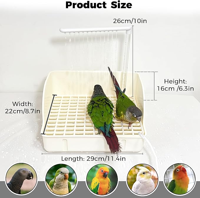 Automatic Parakeet Bird Bath - Image 6