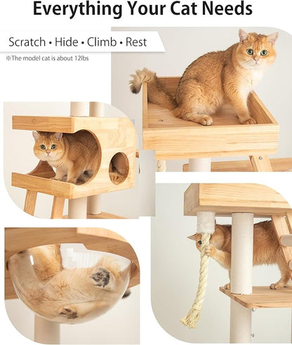 Wood Cat Tree for Large Cats, 62-Inch Tall Modern Cat Tower - Image 4