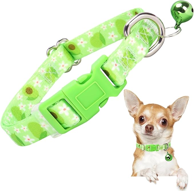 Small Dog Collar with Bell by ONEFOJOJO