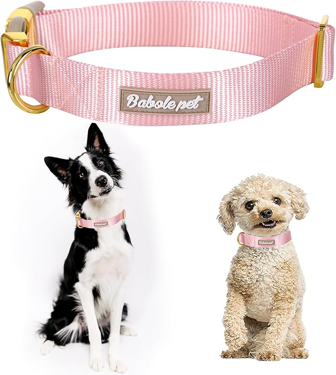 Nylon Dog Collar - Image 2
