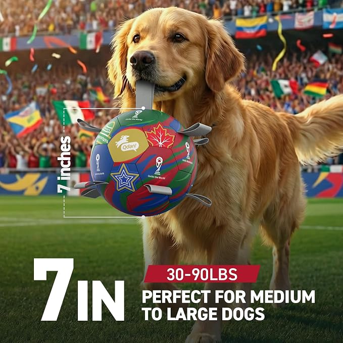 QDAN Dog Soccer Ball with Straps, 7 Inch World Cup Soccer Ball - Image 3