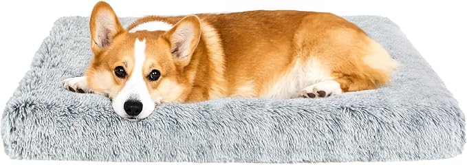 Fluffy Orthopedic Dog Beds for Small Dogs by Kimpets