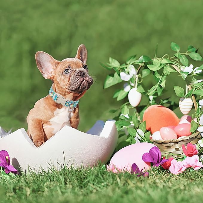 DOGWONG Easter Dog Collar, Cute Flower Bunny Eggs Dog Collar Pink Pet Collar - Image 4