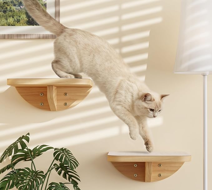 Wall Mounted Cat Steps 2 Pack – Square Wood Cats Shelves - Image 2