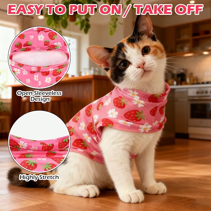 EXPAWLORER Soft Cat Sweater - Image 3