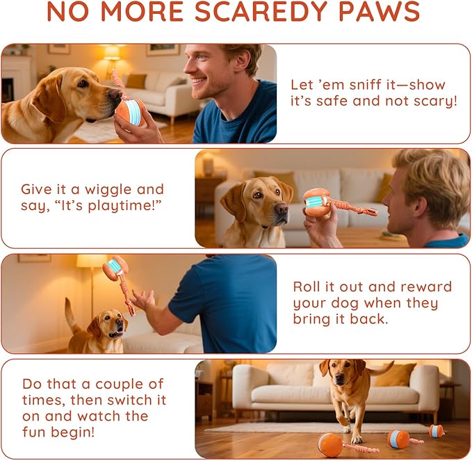 Interactive Dog Toys, Random Path Electric Automatic Moving and Rolling Dogs Toy - Image 5