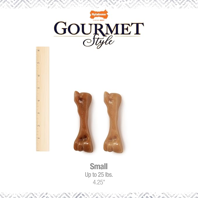 Nylabone Gourmet Style Strong Chew Toy Bundle, Toys - Image 4
