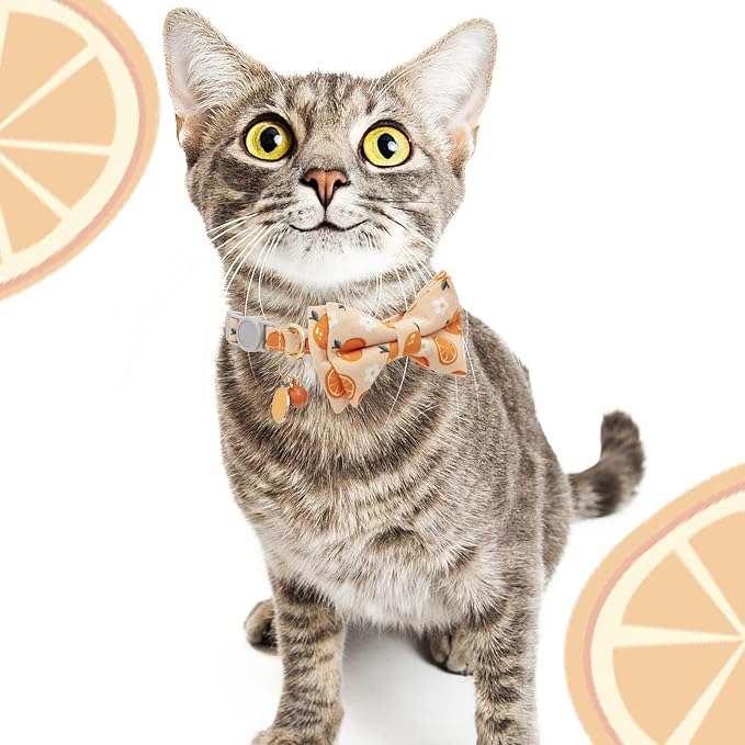Faygarsle 2 Pack Cute Cat Collar - Image 7