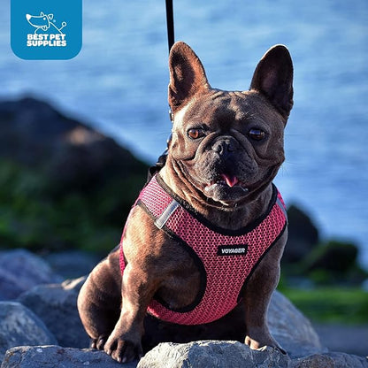 Best Pet Supplies Voyager Step-in Air Harness - Image 8