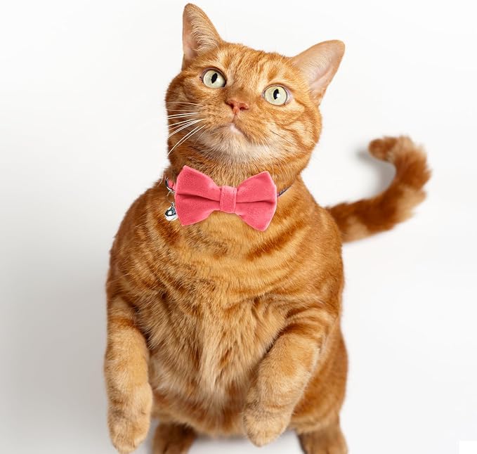 Sliverdew 2 Pcs Safety Cat Collar - Image 7