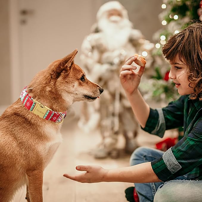 Unique style paws Christmas Dog Collar Metal Buckle Christmas Tree Puppy Collar - Image 4