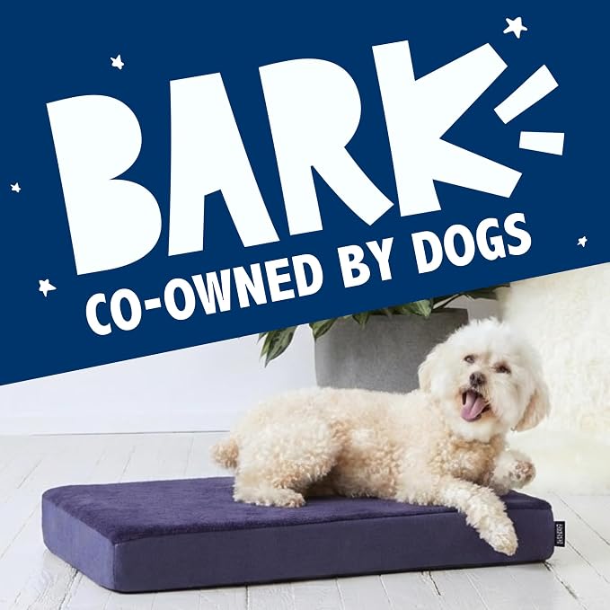 Barkbox Orthopedic Dog Bed | Comfortable Memory Foam Mattress - Image 7