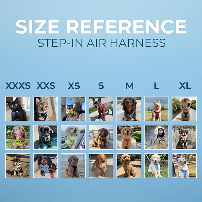 Best Pet Supplies Voyager Step-in Air Harness - Image 6