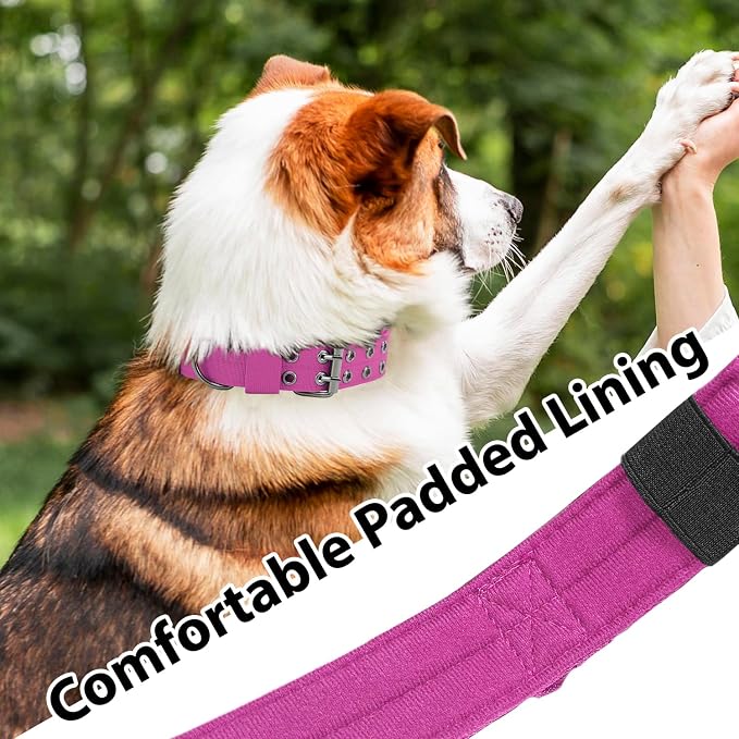 Tactical Dog Collar with Handle, Military Adjustable Heavy Duty Metal Buckle - Image 5