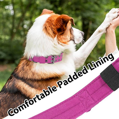 Tactical Dog Collar with Handle, Military Adjustable Heavy Duty Metal Buckle - Image 5
