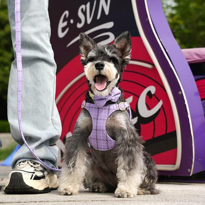 Beirui Cute Small Dog Harness Collar and Leash Set - Image 3