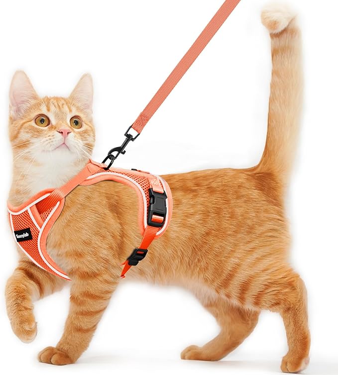 Cat Harness and Leash for Walking Escape Proof Soft Adjustable Cat Leash by Unknown