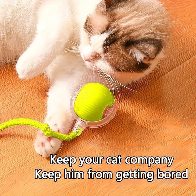 Automatic Interactive Rolling Cats Dog Toys Ball - Image 4