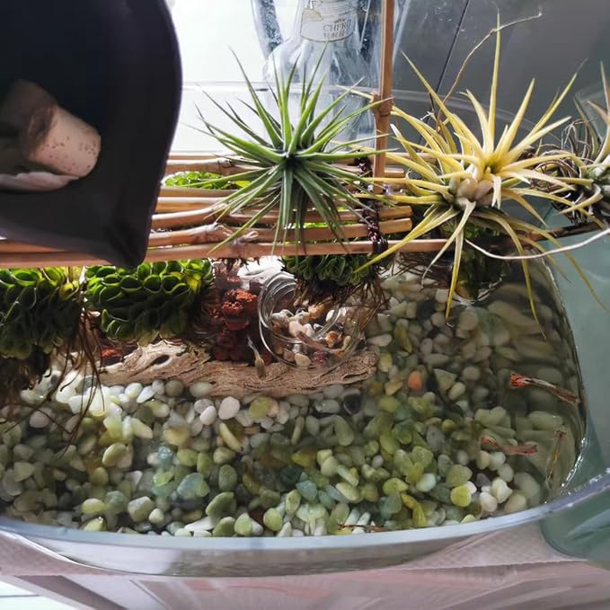 10LB Succulent and Cactus Pebbles, 1/5 Inch Jade Natural Decorative Polished - Image 6