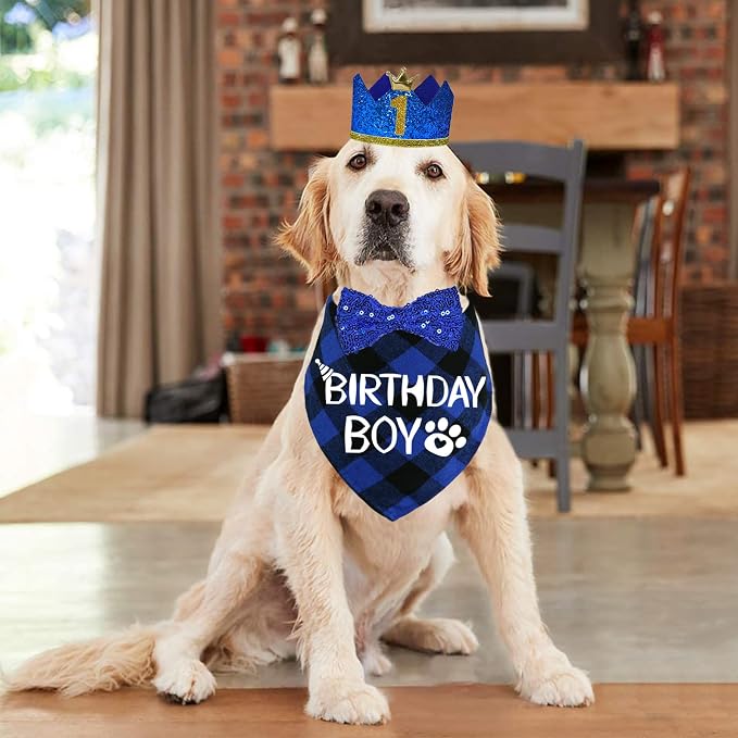 STMK Dog Birthday Party Supplies - Image 2
