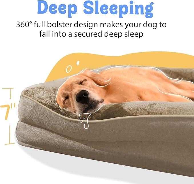 Orthopedic Extra Large Dog Bed - Image 3