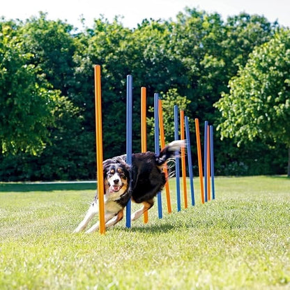 PAWISE Dog Agility Training Equipment, 12 Weave Poles - Image 3