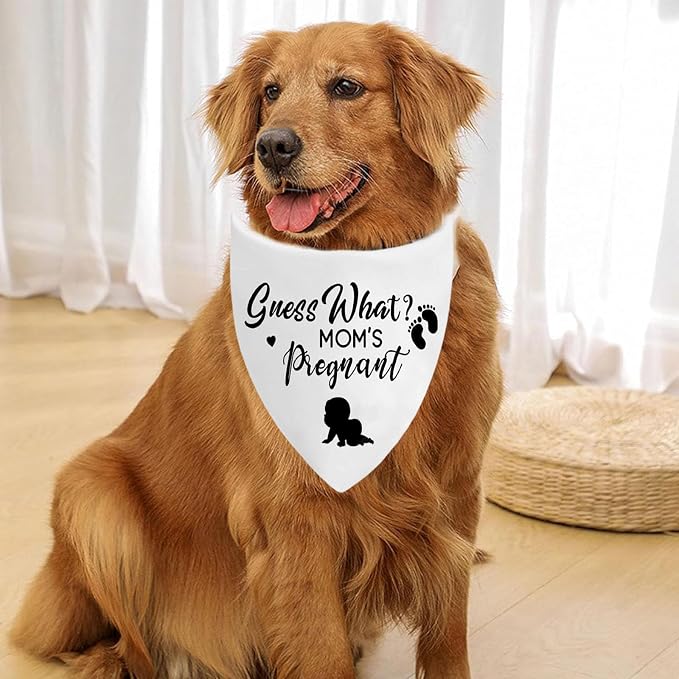 Pregnancy Announcement Dog Bandanas, Guess What? My Mom is Pregnant Reveal Scarf - Image 4