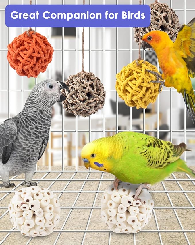 Bissap 6PCS Small Parrot Chew Toys, Sola Balls Conure Chewing Foraging Toys - Image 2