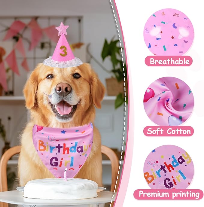Dog Boy Girl Birthday Party Hat, Dog Birthday Party Supplies, Doggie Birthday - Image 4