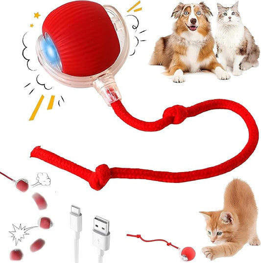 Interactive Electric Automatic Rolling Moving USB Rechargeable Self Activated by Unknown