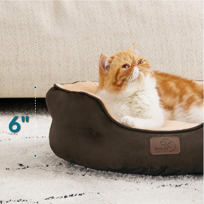 Bedsure Dog Beds for Small Dogs - Image 3