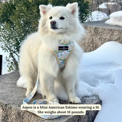 Lucy & Co. Sunshine and Daffodils Reversible Dog Harness, Adjustable Comfort Fit - Image 5