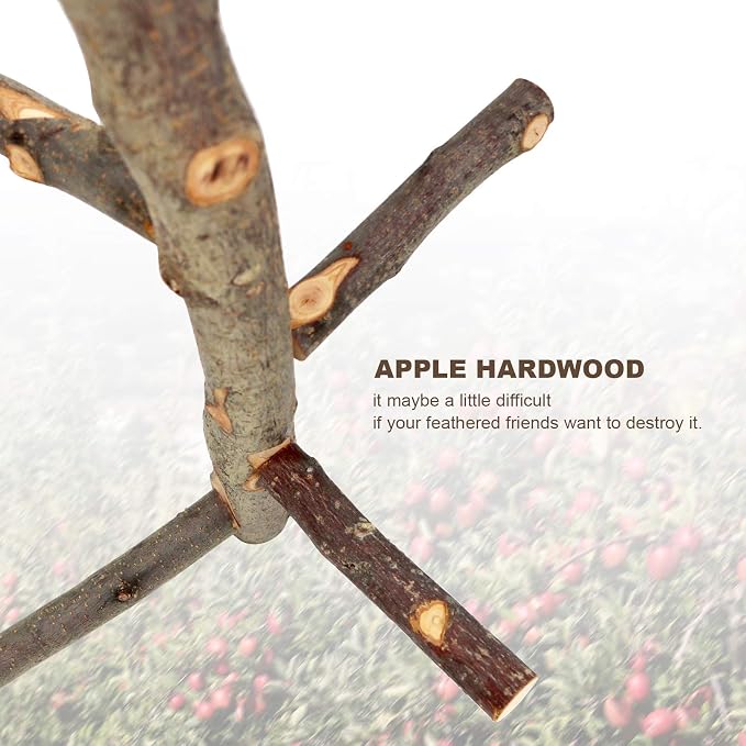 Bird Perch Nature Apple Hard Wood Stand, Parrot Stand Toy Branch Platform Paw - Image 3