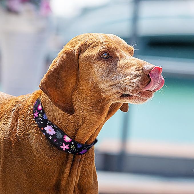QQPETS Adjustable Soft Dog Collar: Print Flower Pink Multicolor Cute Patterns - Image 2