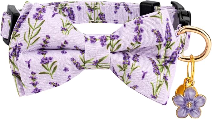 2 Pack Breakaway Cat Collar - Image 3