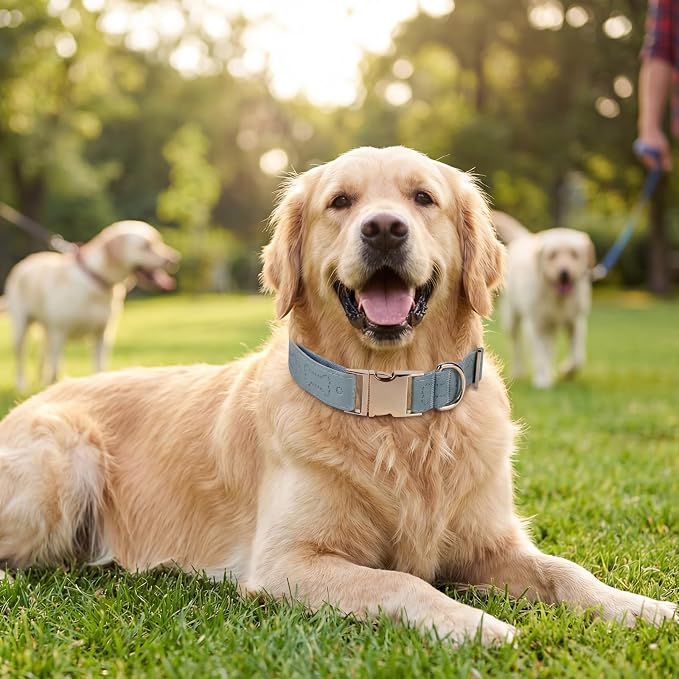 TDTOK Stylish Leather Dog Collar, Comfortable Soft PU Leather Dog Collars - Image 6