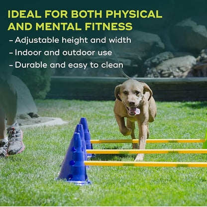 FitPAWS Ball Dynamics CanineGym Agility Kit - Image 4