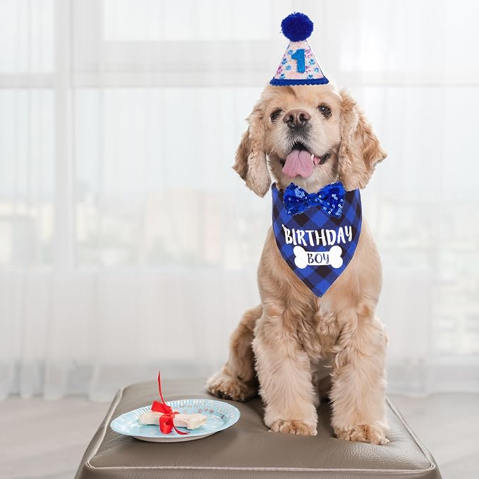 ADOGGYGO Boy Dog Birthday Bandana & Bow Set - Image 2