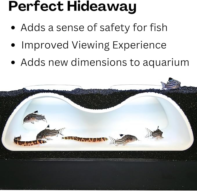 Aquarium Underground Tunnel Cave Natural Curve Two Hole | Viewing Fish & Shrimp - Image 4