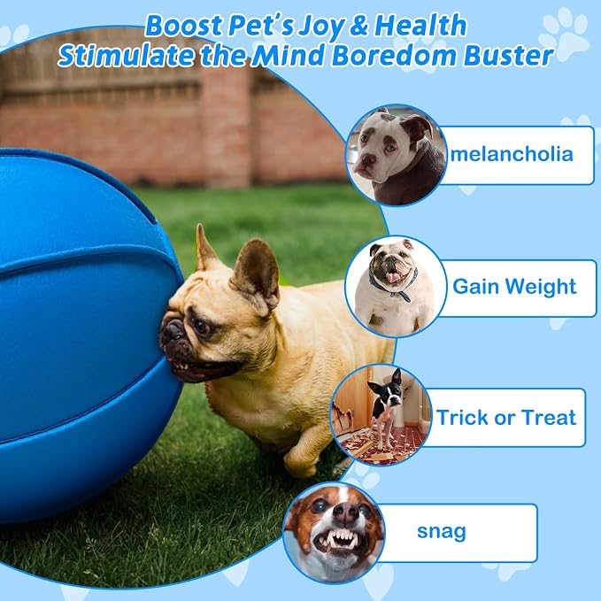 Herding Ball for Dogs, Dual Layered Herding Dog Ball Set for Australian Shepherd - Image 2