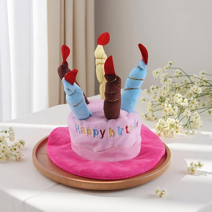 Cute Pet Party Hat for Dogs&Cats - Image 9