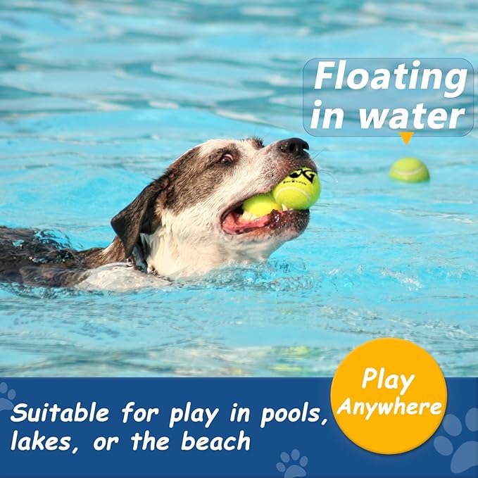 Squeaky Tennis Balls for Dogs - Image 5