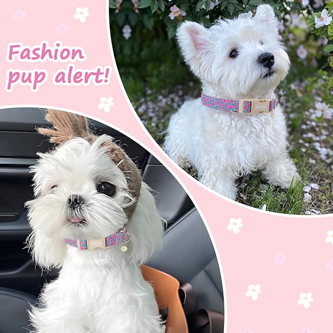 Cotton Floral Dog Collar, Adjustable Puppy Dog Collars - Image 3