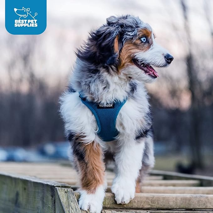 Best Pet Supplies Voyager Step-in Air Harness - Image 10
