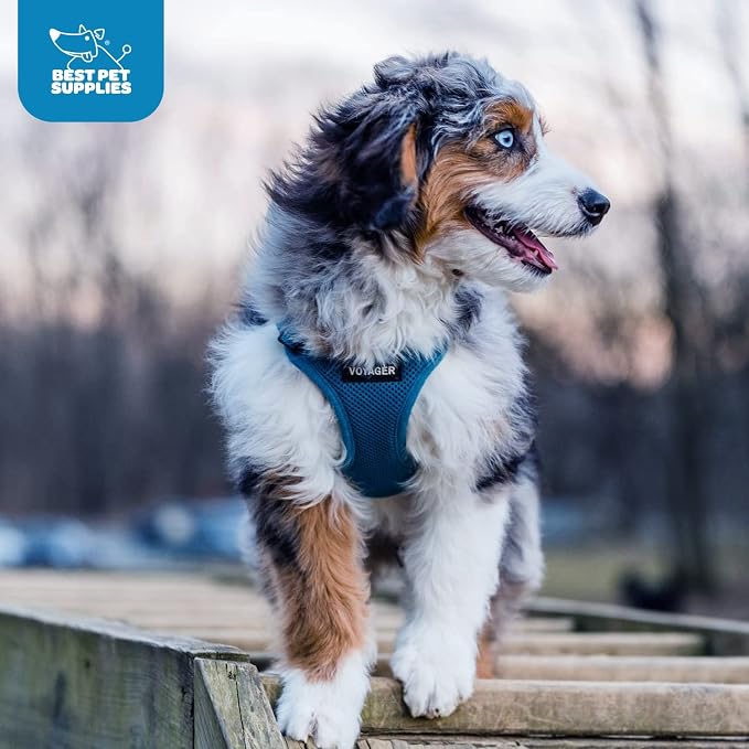 Best Pet Supplies Voyager Step-in Air Harness - Image 10