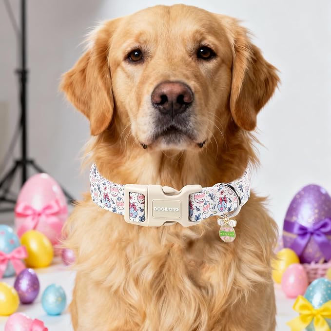 DOGWONG Cute Easter Egg Dog Collar, Adjustable Soft Egg Pet Collar - Image 4