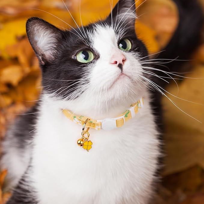 2 Pack Cotton Breakaway Cat Collar Green and Yellow Flowers Pendant Cute Kitten - Image 6