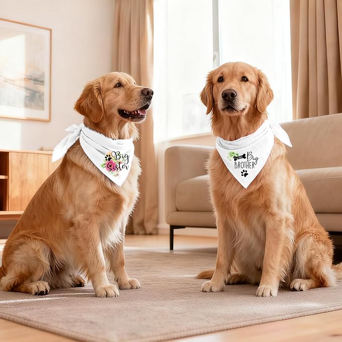 2 Packs Big Sister Brother Pregnancy Announcement Dog Bandana, Gender Reveal - Image 6